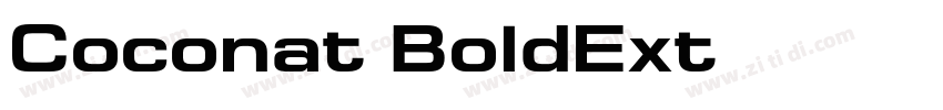 Coconat BoldExt字体转换